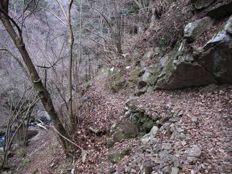 20170113hike (454)